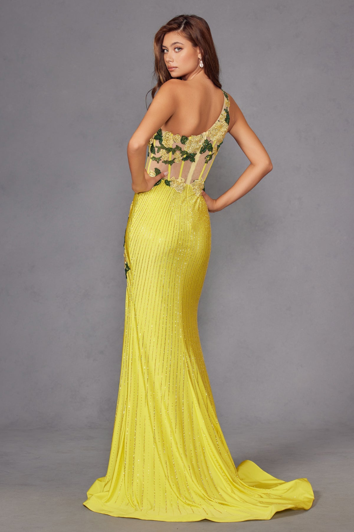 Elegant Beaded Embellished A-Line Long Formal Prom Evening Gown JTJT2514R