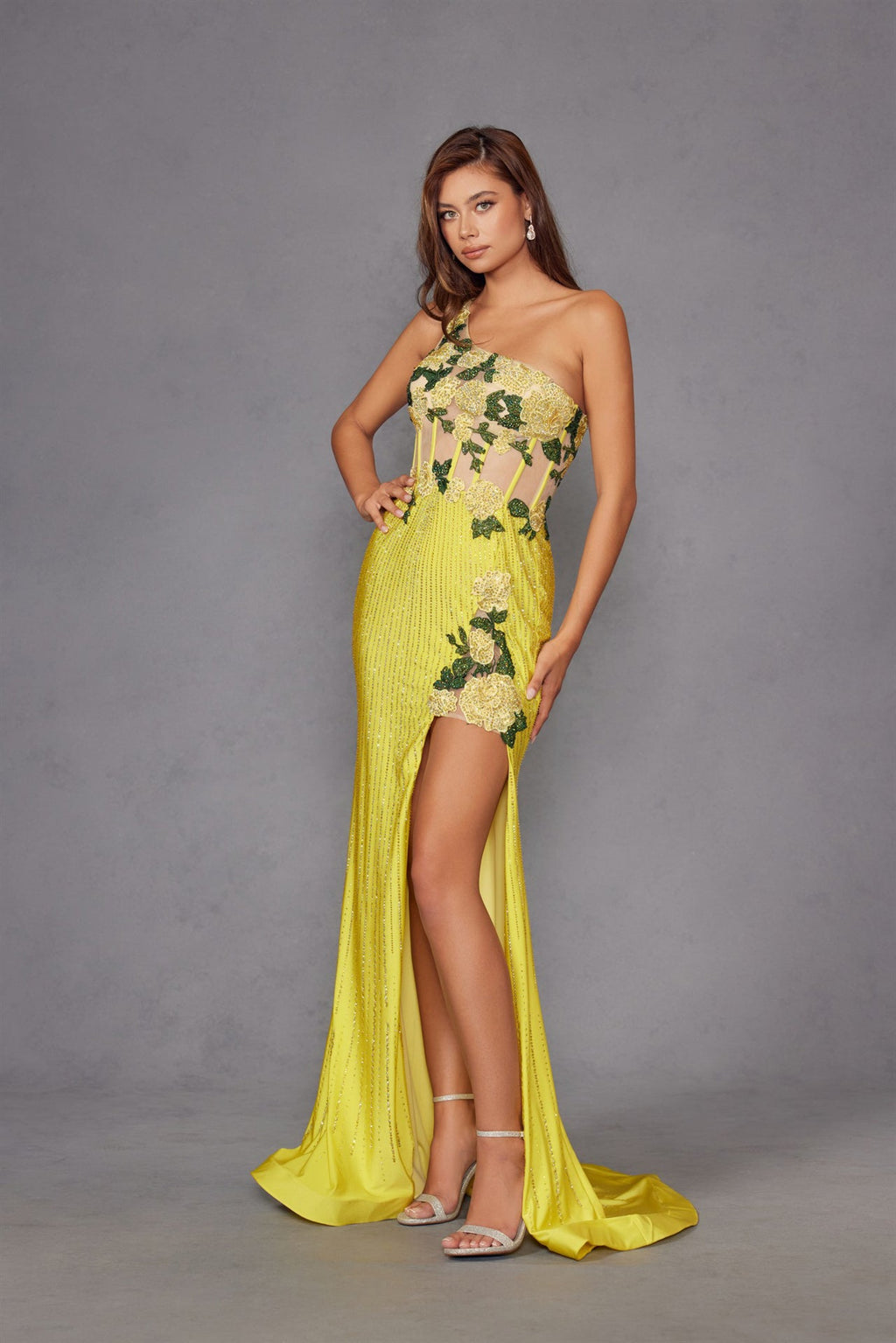 Elegant Beaded Embellished A-Line Long Formal Prom Evening Gown JTJT2514R