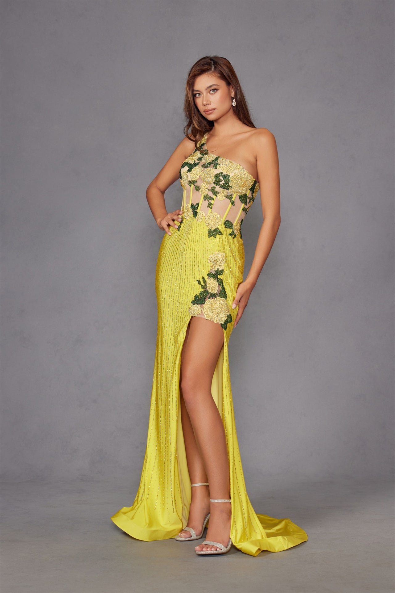 Elegant Beaded Embellished A-Line Long Formal Prom Evening Gown JTJT2514R